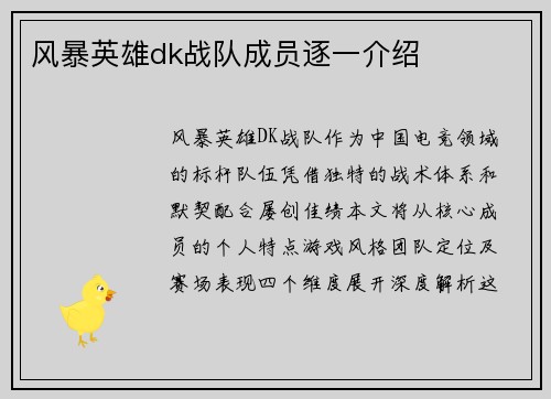 风暴英雄dk战队成员逐一介绍